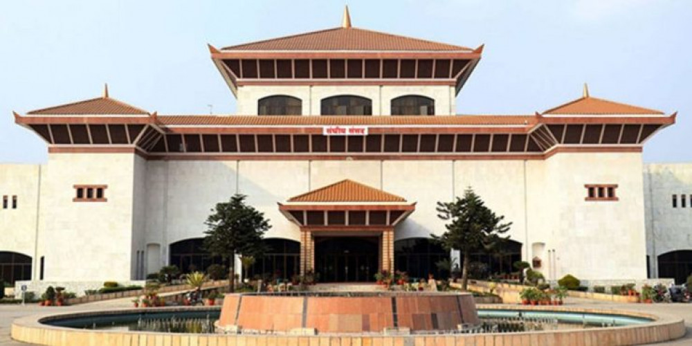 पत्रकारलाई १० लाख जरिवाना हुने काउन्सिल विधेयक संसदमा
