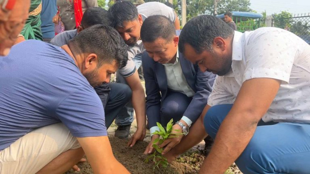 माओवादी केन्द्र दमकले रोप्यो २० हजार बिरुवा
