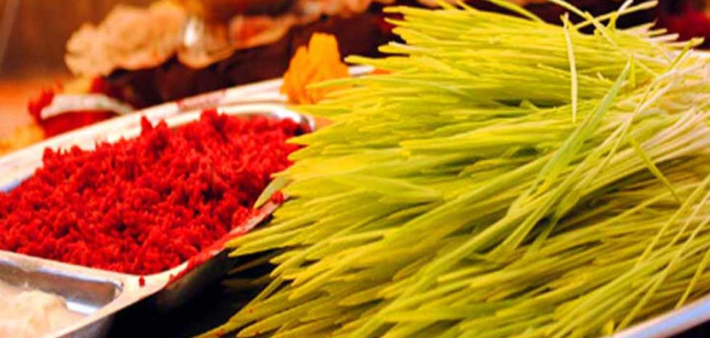 आज विजयादशमी, मान्यजनबाट टीका र जमरा लगाईँदै