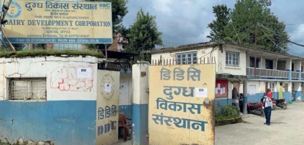 डीडीसीसँग १ अर्बको धुलो दुध र मखन स्टक, म्याद सकिन ४ महिना बाँकी