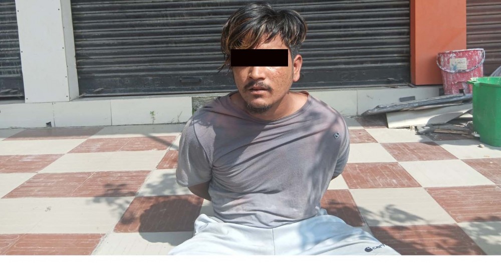 अनलाइन सोफा सेन्टरमा चोरी गर्ने पक्राउ