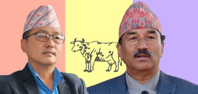 Sajilo Khoj